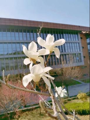 1586417699485023984.jpg 1586417699485023984.jpg