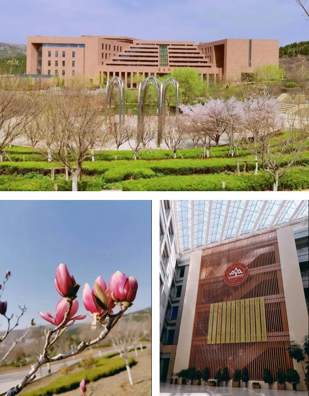 1586417896733093330.jpg 1586417896733093330.jpg