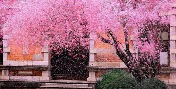 1586418842785010011.jpg 1586418842785010011.jpg