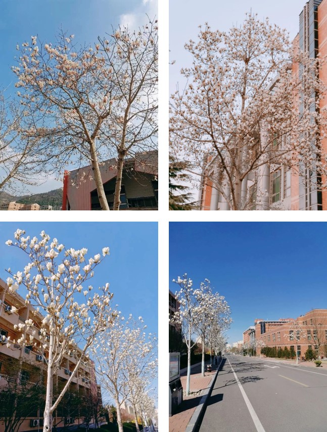 1587520973369031957.jpg 1587520973369031957.jpg